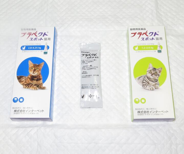 予防薬・駆虫薬の処方について 公式ホームページ にしうち動物病院 阿波市 徳島 予防薬・駆虫薬の処方について 公式ホームページ にしうち動物病院 阿波市 徳島
